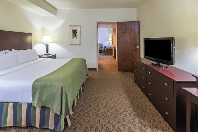 جناح بسرير فردي بغرفة نوم واحدة لذوي الإعاقة، Holiday Inn Springdale/Fayetteville Area 1/6