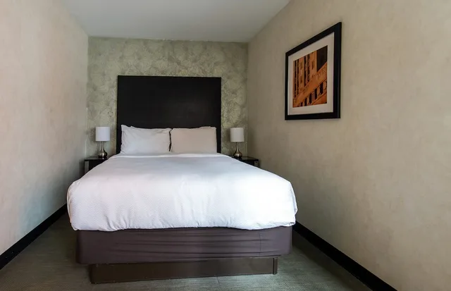 Room, Queen Bed, The Solita Soho Hotel An Ascend Hotel Collection Member 3/9