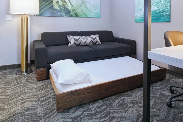 جناح بسرير كينج بإطلالة على المدينة لذوي الإعاقة، Springhill Suites Detroit Wixom 2/5