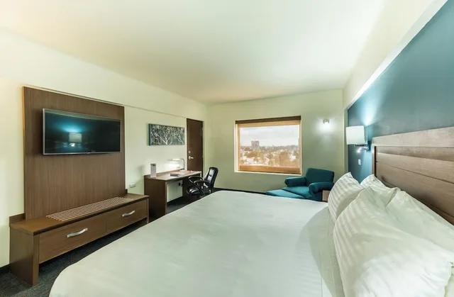 Standard, King Bed, Holiday Inn GUADALAJARA EXPO 2/9