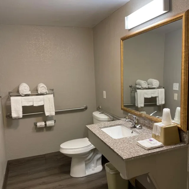 غرفة بسرير كينج لذوي الإعاقة، Red Roof Inn Birmingham - Highway 280 6/7