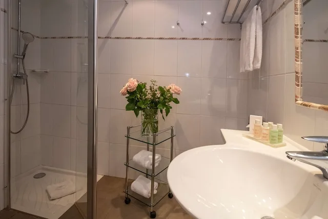 غرفة سوبيريور بسرير مزدوج بإطلالة على المدينة، Hotel Le Mondial, BW Premier Collection 8/8