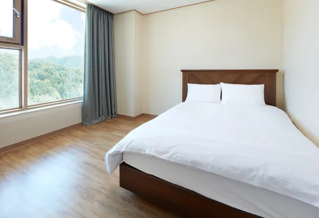 Condo, Suite، Phoenix Resort Pyeongchang 1/2