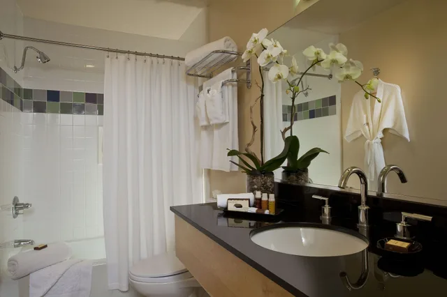 Executive, King Bed, Allergy Friendly, Accessible، Elan Hotel Los Angeles 5/8