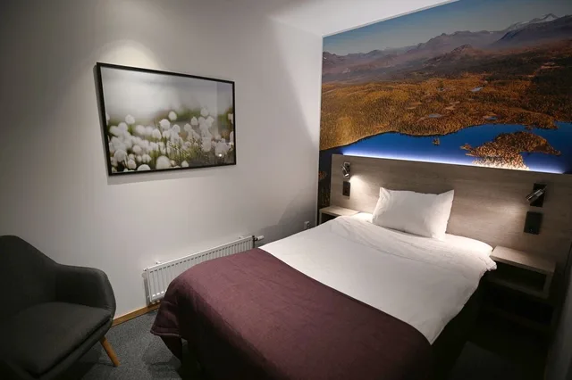 Compact, Single، Comfort Hotel Umea City 7/8