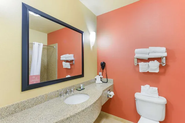 جناح بسرير كينج، Sleep Inn and Suites Midland West 2/2