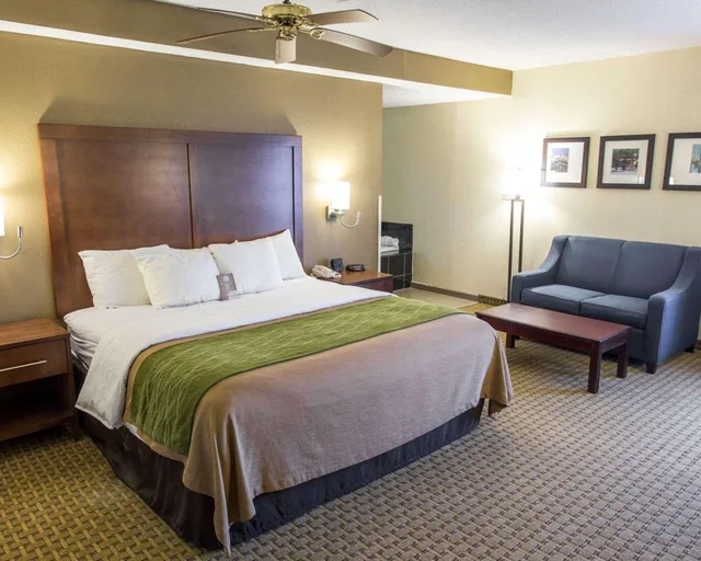 جناح بسرير كينج، Comfort Inn Hammond - La 1/3