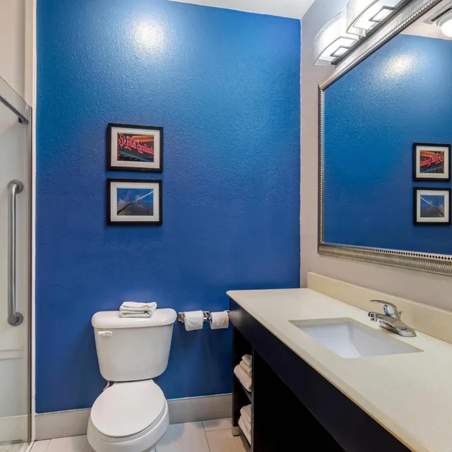 جناح بسرير كينج مع أريكة، Comfort Suites St Charles-St Louis 10/10