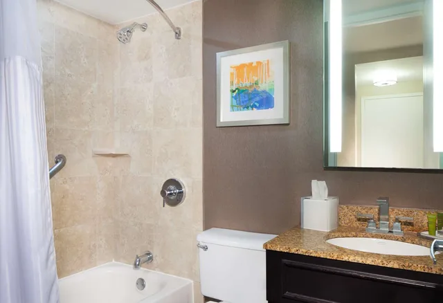 غرفة ديلوكس بسرير مزدوج، Hilton St Petersburg Bayfront 2/2
