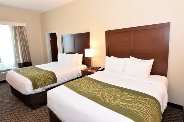 جناح بسريرين كوين لذوي الإعاقة، Comfort Inn & Suites Rock Hill Northeast 1/10