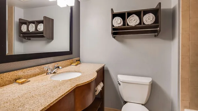 Room, King Bed, Sofa, Best Western Plus Champaign/Urbana Inn 4/4