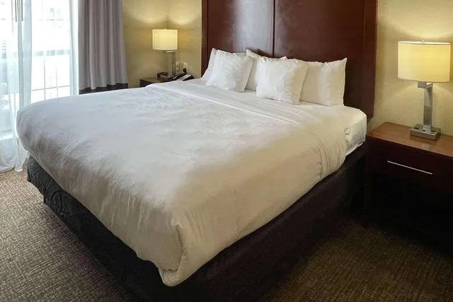 Upgrade, Suite, King Bed، Comfort Suites San Antonio SeaWorld - Lackland AFB 1/2