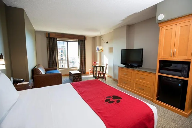 جناح استوديو ديلوكس، Great Wolf Lodge Bloomington 1/2