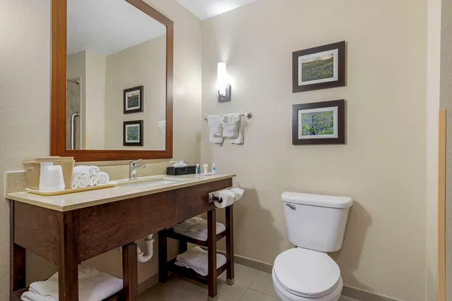 جناح بسرير كينج لذوي الإعاقة، Comfort Suites Benbrook - Fort Worth Southwest 4/4