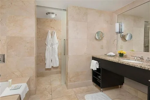 جناح ديلوكس، Four Seasons Hotel Chicago 1/1
