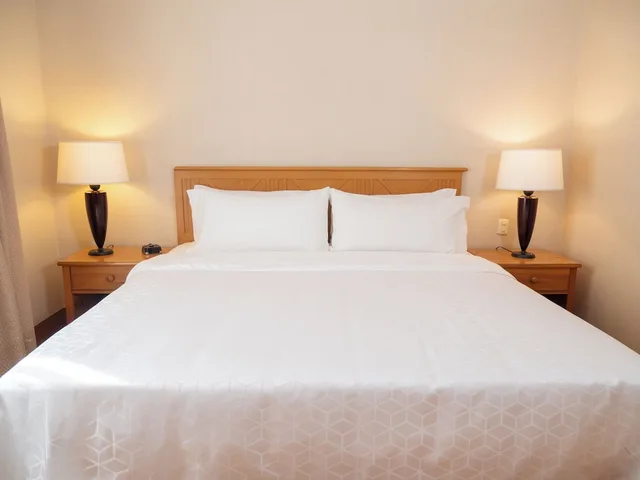 غرفة قياسية بسرير كينج، Holiday Inn Express Guanajuato 4/10