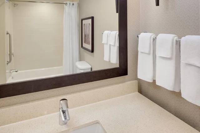 Suite, King Bed, The Limited Hotel Charleston 5/5