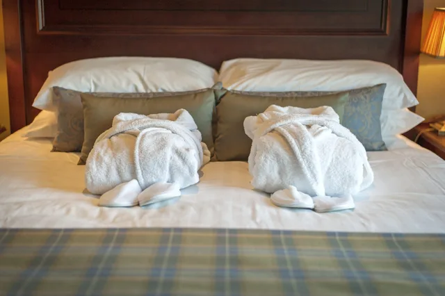 Four Poster، NETHYBRIDGE HOTEL 2/2