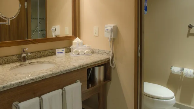 غرفة قياسية بسرير مزدوج، Holiday Inn Express and Suites Celaya 2/5