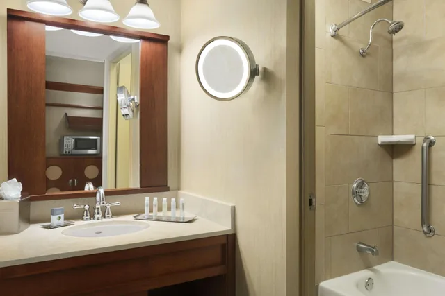 Room, Murphy Bed, Pool View, Accessible, DoubleTree by Hilton Hotel Dallas DFW Airport North 2/2