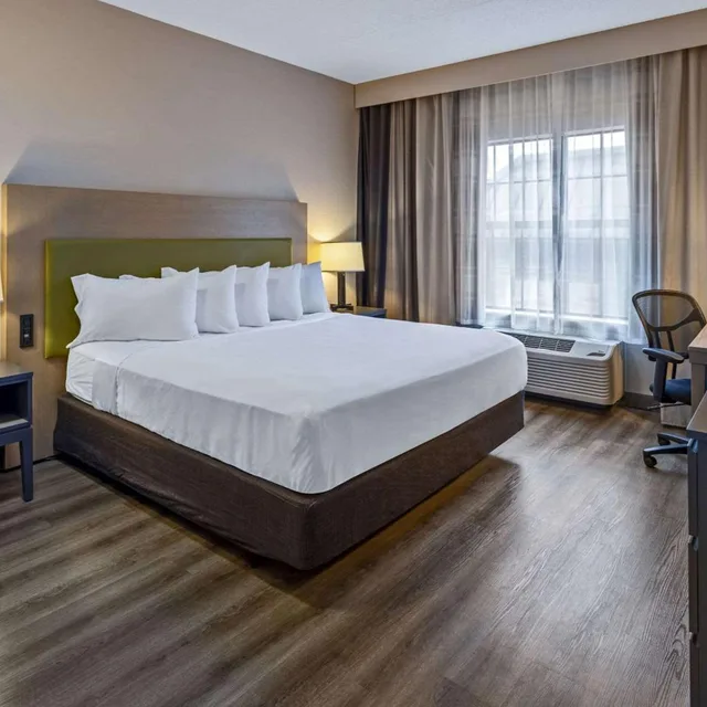 Studio, King Bed, Country Inn Suites By Radisson Salisbury Md 2/10