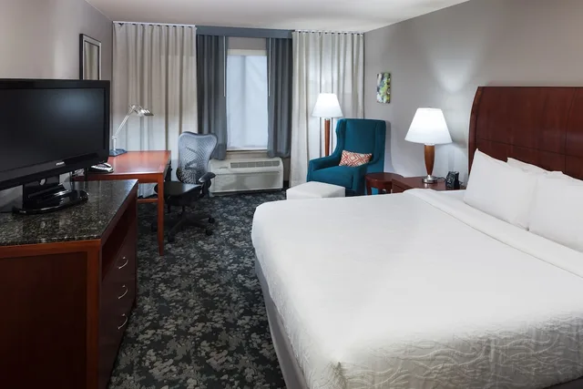 Evolution, King Bed، Hilton Garden Inn Austin North 1/8
