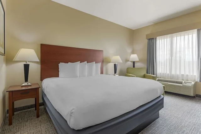 غرفة قياسية بسرير كينج لذوي الإعاقة، Best Western Franklin Town Center Hotel & Suites 2/6