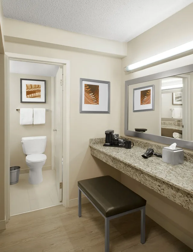 غرفة بريميوم بسرير كينج لذوي الإعاقة، Holiday Inn St Louis Sw Route 66 5/6