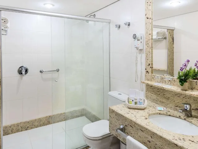 جناح سوبيريور ديلوكس بسرير مزدوج، Caesar Business Belo Horizonte Belvedere 6/9