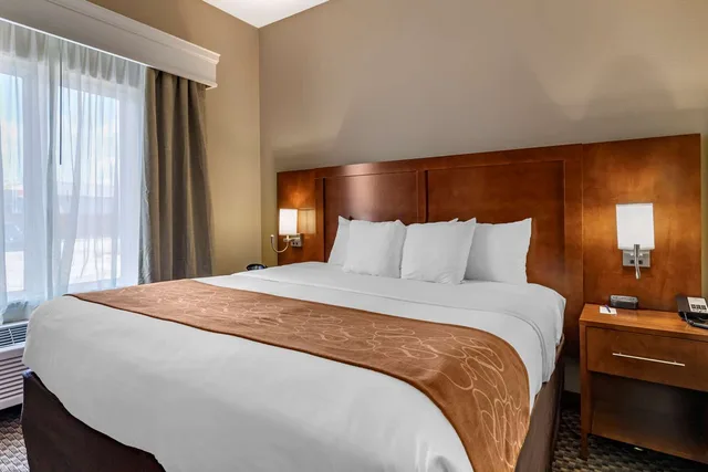 جناح بسرير كينج، Comfort Suites Near Texas A M University Corpus Christi 1/3