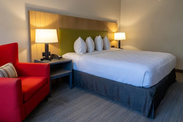 غرفة بسرير كينج يُسمح فيها بالحيوانات الأليفة، Country Inn Suites By Radisson Seattle Bothell Wa 5/10
