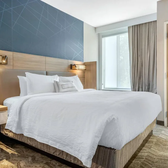 جناح بسرير كينج بغرفة نوم واحدة مع سرير سحّاب إضافي لذوي الإعاقة، Springhill Suites By Marriott Charlotte Southwest 2/5