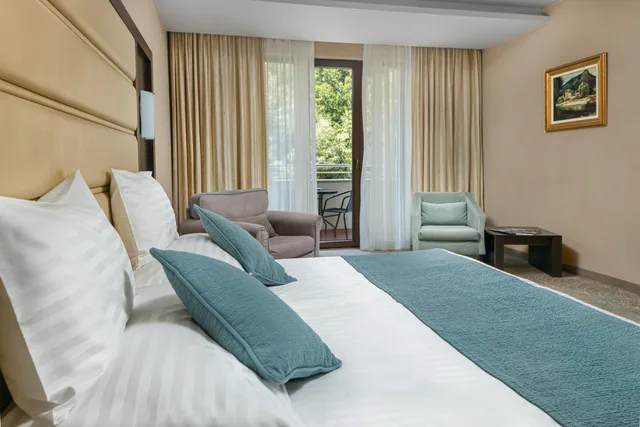 غرفة ديلوكس بسرير مزدوج، PARK PIRIN HOTEL 2/4