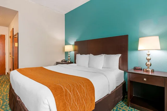 غرفة قياسية بسرير كينج، Comfort Inn & Suites Fort Lauderdale West Turnpike 8/10