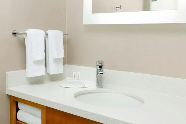 جناح بسرير كينج مع أريكة بحوض استحمام لذوي الإعاقة، Springhill Suites San Diego Mission Valley 1/1