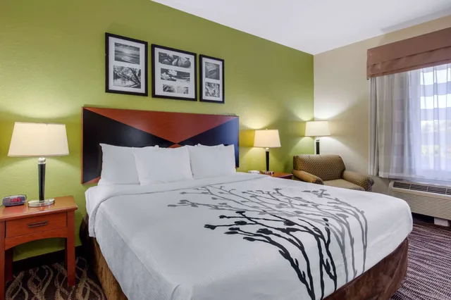 جناح بسرير كينج، Sleep Inn and Suites Montgomery East I-85 1/5