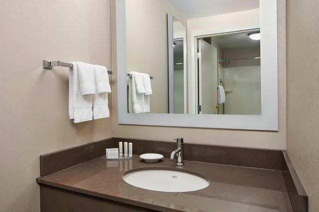 Suite, King Bed, Accessible, Springhill Suites By Marriott Chicago Schaumburg 1/1