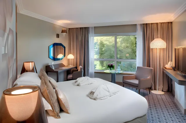 غرفة قياسية، Vichy Celestins Spa Hotel 1/1