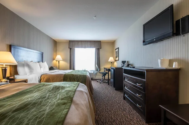 غرفة قياسية بسريرين كوين، Comfort Inn & Suites Surrey 1/3
