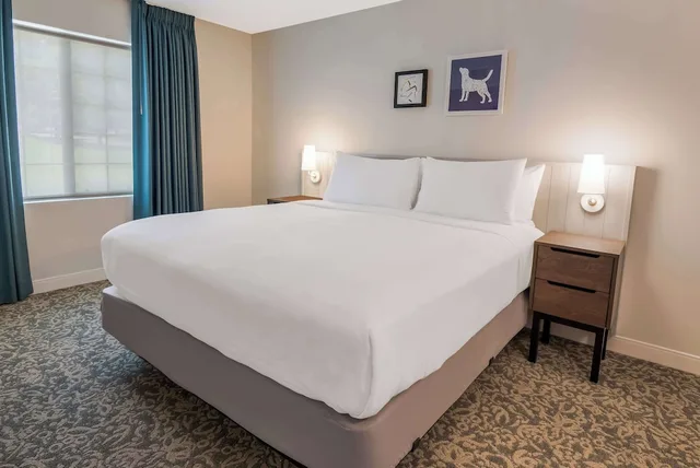جناح بسريرين مزدوجين بغرفة نوم واحدة مع أريكة لذوي الإعاقة، Sonesta ES Suites Andover Boston 1/5