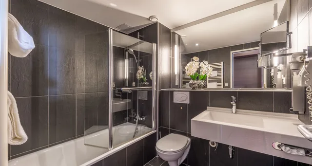 Comfort, Single, PLAZA INN Wels 2/9