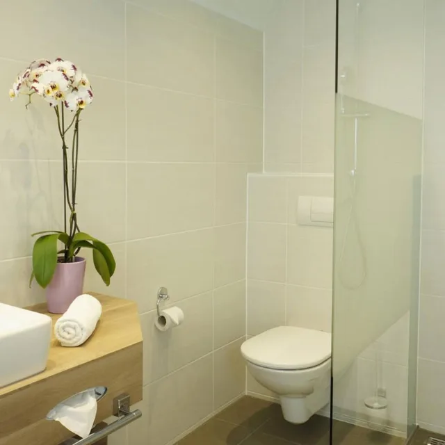 بنغل بشرفة، VILA VITA Pannonia 3/4
