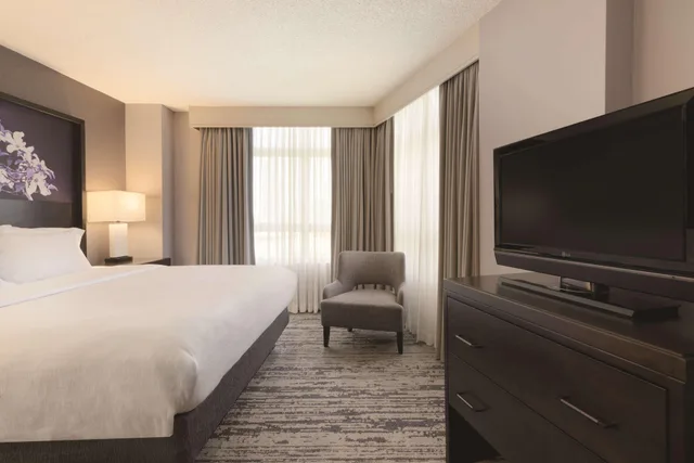 جناح بإطلالة على المتنزه، Embassy Suites by Hilton Atlanta at Centennial Olympic Park 1/1