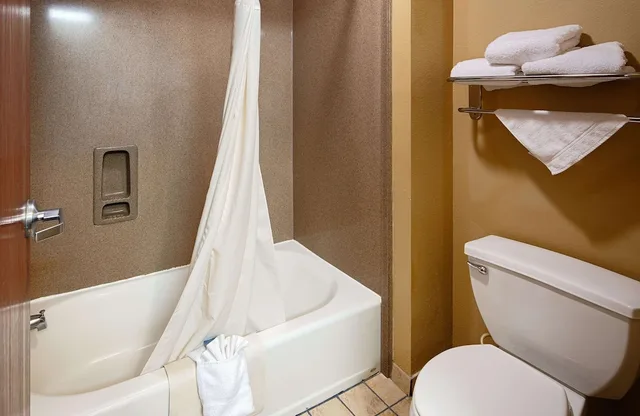 Suite, King Bed, Best Western Zachary Inn 2/2