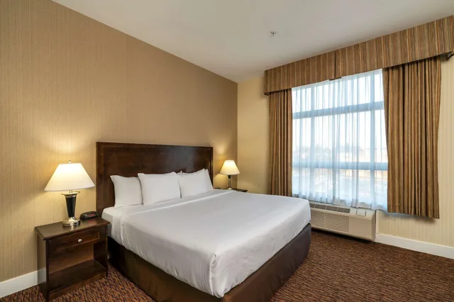 جناح بسرير كينج مع أريكة، Comfort Inn & Suites Surrey 1/2