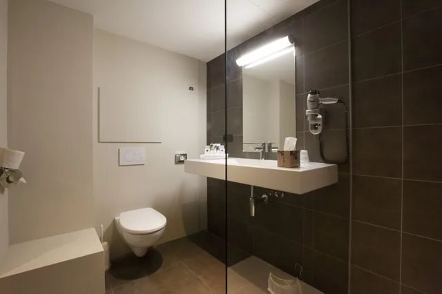 Style, King Bed، HOTEL MERCURE MECHELEN VE 6/6