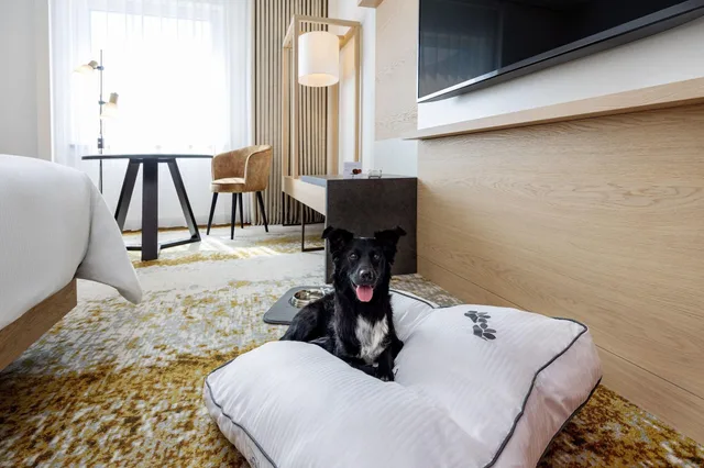 جناح رئاسي بسرير مزدوج، Westin Grand Frankfurt 4/9