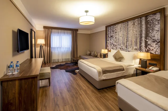 غرفة سوبيريور رباعية بسرير مزدوج وسرير فردي مع أريكة، Dorukkaya Ski & Mountain Resort - All Inclusive 1/3