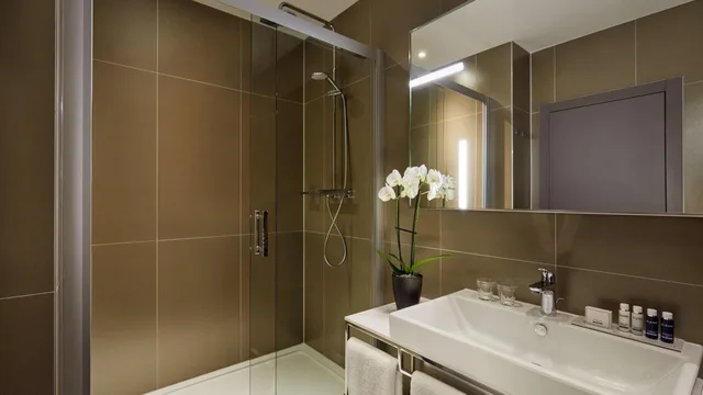 غرفة سوبيريور ثلاثية بسريرين منفصلين مع أريكة، PARK PLAZA NUREMBERG 4/4