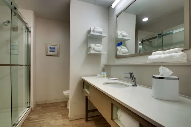 غرفة بسرير كينج مع أريكة لذوي الإعاقة، Hampton Inn Sneads Ferry North Topsail Beach 4/5